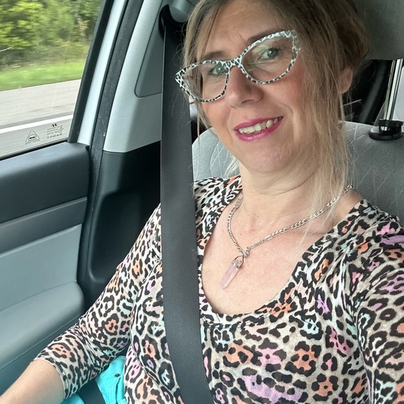 BCBGMaxazaria rainbow pastel sheer leopard‎ animal print top shirt - Picture 5 of 6